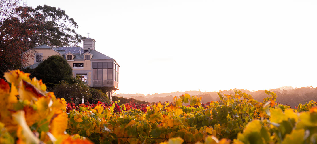 Hahndorf Hill Cellar Door